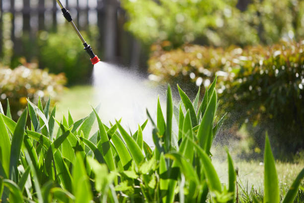 24/7 Emergency Wasp Removal experts in Fremont, MI