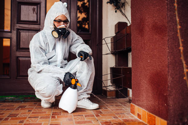 Reliable Wasp Removal contractor in Fremont, MI by Show Me Pest Control
