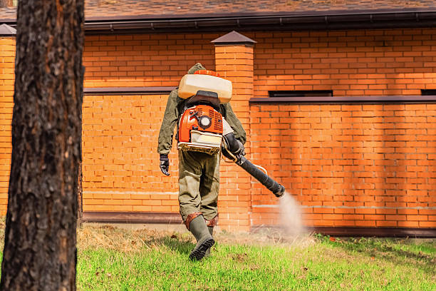 Top rated local Wasp Removal specialists in Fremont, MI